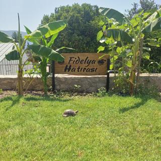 Fidelya Bungalow Evleri - Adrasan - 9