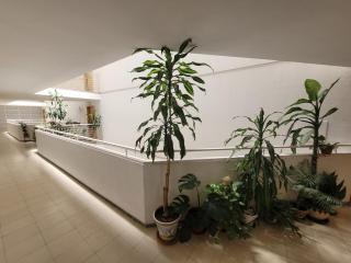 Alojamiento ENTERO en Madrid, con ACCESO PRIVADO - Madrid - 1