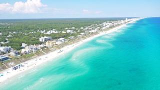 Camellia House - Seagrove Beach - 5