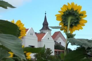 ZÁNKAPU -Hotel for You- Adult & Bike Friendly 3-Room B&B with Local Wine, Terrace & Káli-medence Experience - 8