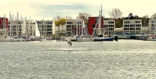 Modernes Apartment an Timmendorfer Promenade, 1. Reihe - Timmendorfer Strand - 6