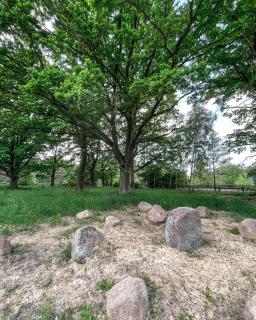 Gościniec Pod Dębami - 5