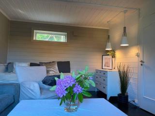 Cosy and well-equipped apartment with free parking - 8