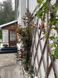 Charleston Apartment Self Catering 5 min drive from town centre - 8