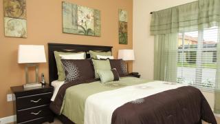 3043 Beach Palm - 2
