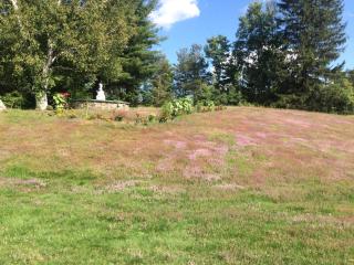 Georgian Garden - Windham - 3