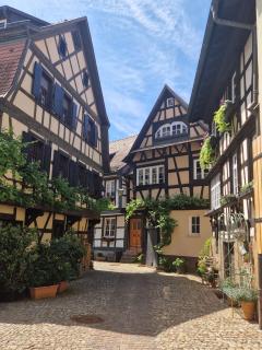 Ferienwohnung Blumenfeld - Gengenbach - 6