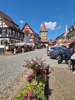 Ferienwohnung Blumenfeld - Gengenbach - 7