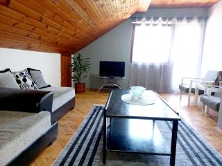 Apartman Alex 7 - Bajina Bašta - 7