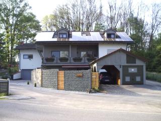 Ferienhaus Absmeier - Bad Griesbach - 9