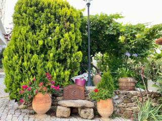 Quinta das flores - 3