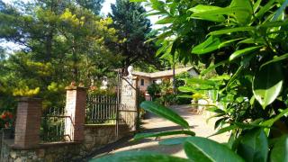 Casa dei nonni trisobbio - 9