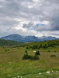 Mountain Soul Rest - 1