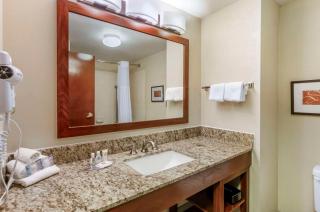 Comfort Inn & Suites Christiansburg I-81 - Christiansburg - 8