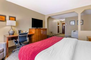 Comfort Inn & Suites Christiansburg I-81 - Christiansburg - 5
