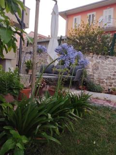 Podvršina1A Rosa - Preko - 8