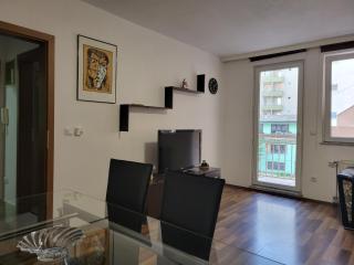 ZOGU Apartments - City Centre - Pristina - 4