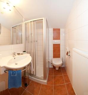 Schi- und Wanderhotel Berghof - Bad Kleinkirchheim - 1