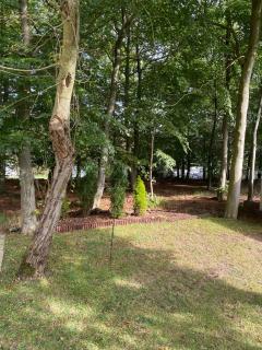 16 Leaf Lane Country Retreat - 2