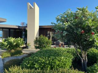 La Bodega Waiheke Island - Surfdale - 8