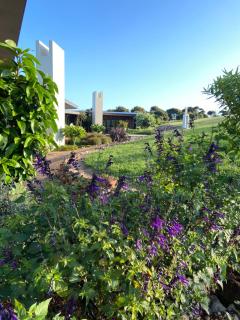 La Bodega Waiheke Island - Surfdale - 6