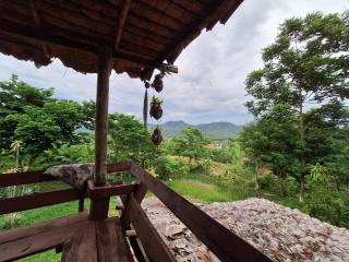 The Lookout Pai - Pai - 2