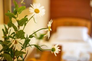 Hostal Uruhao - Hanga Roa - 3