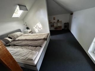 modernes „Tiny House“ - Pleven - 7
