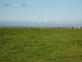 Ferienwohnung in Nessmersiel 20-041 - 8
