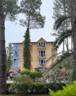Hotel albatros shekvetili - Shekhvetili - 0