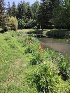 Le gite des Choiseaux, piscine et parc au cœur de la nature - Suèvres - 8