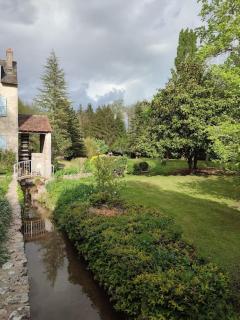 Le gite des Choiseaux, piscine et parc au cœur de la nature - Suèvres - 5