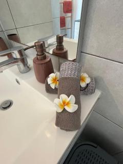 « Le perle » appt avec piscine la saline les bains - La Saline-Les-Bains - 4