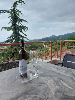 Olympus Mythical Resort - Skotina - 5