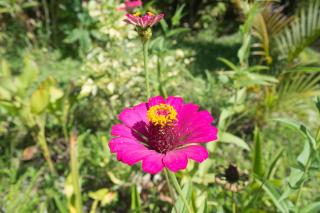 Holiday rental in Sumatra - 7