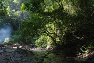 Room in Bungalow - Holiday rental in Sumatra - Bukit Lawang - 8