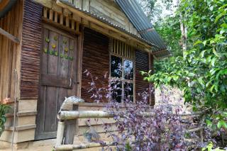 Room in Bungalow - Holiday rental in Sumatra - Bukit Lawang - 6