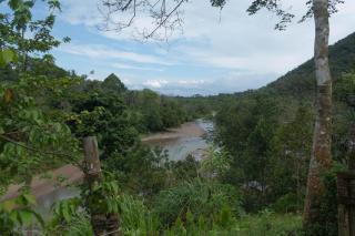 Room in Bungalow - Holiday rental in Sumatra - Bukit Lawang - 3