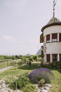 Weinberghof - Appiano sulla Strada del Vino - 2