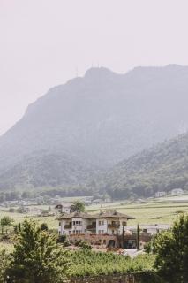 Weinberghof - Appiano sulla Strada del Vino - 7