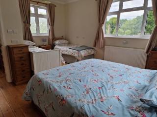 Country retreat near sea and South Downs, on National Cycle Network - Polegate - 4
