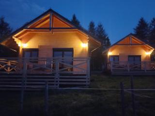 Bieszczadzka Polana - domki turystyczne/sezonowe - Lutowiska - 1