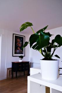 Le Loft Pasteur - Dole - 6