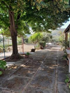Casa vacanze Villa MiLù - Santa Maria di Castellabate - 8