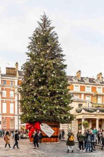 New Modern Hybrid 4 Bedroom 7 Bed apartment 9 guest capacity - Londra - 9