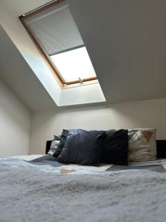 Attic city centrum apartment - Klaipėda - 6