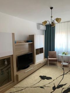 Cazare Medias, apartament modern - Mediaş - 1