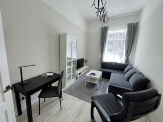 Rigas street cozy apartment, city centre - 8