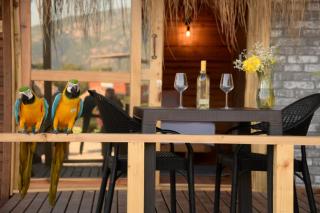 Green Pine Bungalows & Beach Luxury Concept - Oludeniz - 7