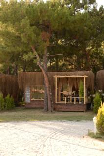 Green Pine Bungalows & Beach Luxury Concept - Oludeniz - 9